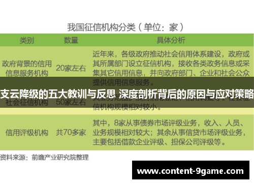 支云降级的五大教训与反思 深度剖析背后的原因与应对策略