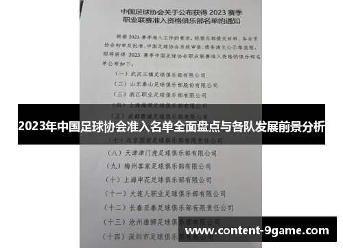 2023年中国足球协会准入名单全面盘点与各队发展前景分析