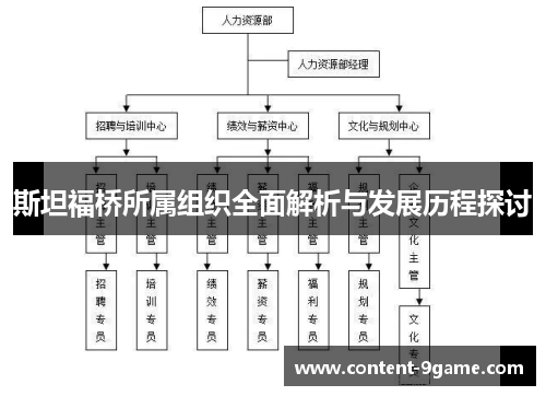 斯坦福桥所属组织全面解析与发展历程探讨