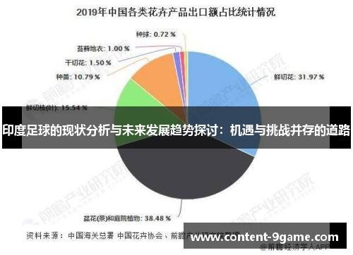 印度足球的现状分析与未来发展趋势探讨:机遇与挑战并存的道路