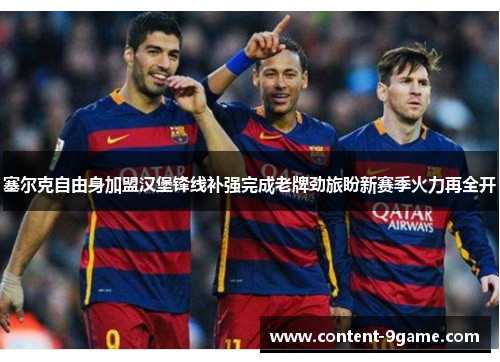 塞尔克自由身加盟汉堡锋线补强完成老牌劲旅盼新赛季火力再全开 塞尔克自由身加盟汉堡锋线补强完成老牌劲旅盼新赛季火力再全开