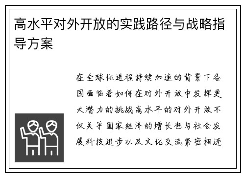 高水平对外开放的实践路径与战略指导方案 高水平对外开放的实践路径与战略指导方案